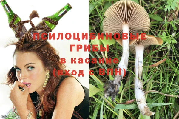 дживик Магадан