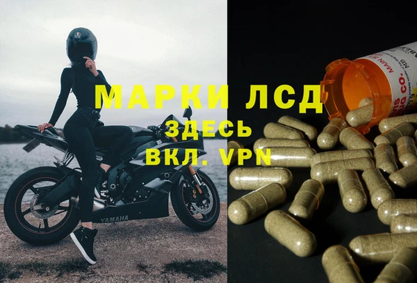 дживик Магадан