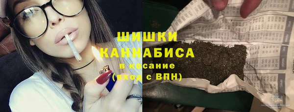 трава Магас