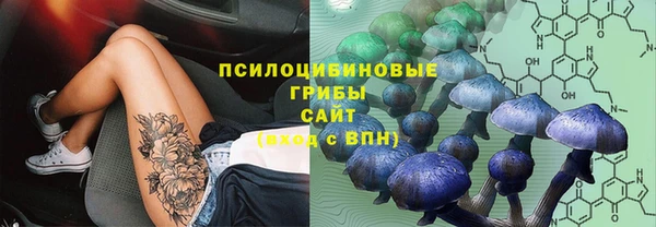 трава Магас