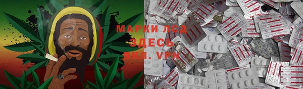 трава Магас