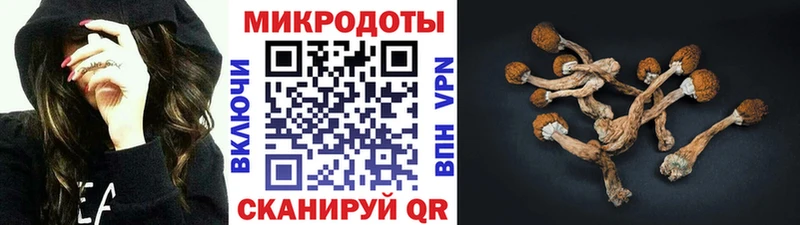 Галлюциногенные грибы GOLDEN TEACHER  Купить  Сусуман 
